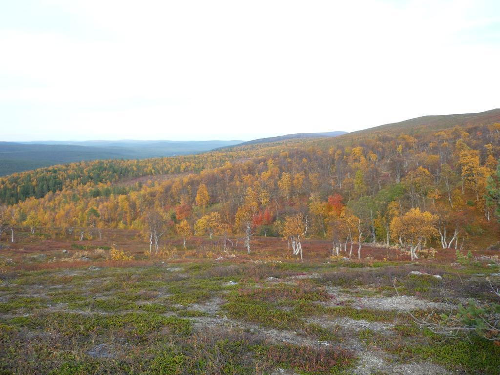 Lemmenjoen Lumo - Nature Experience & Accommodation Lemmenjoki 외부 사진